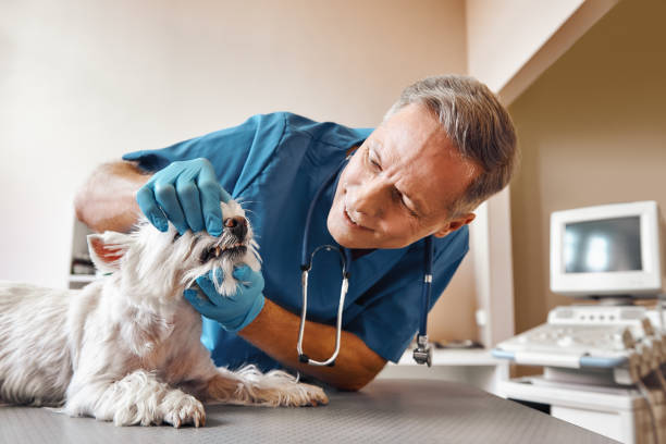 Best Emergency Treatment for Dental Infections or Abscesses in Luxora, AR